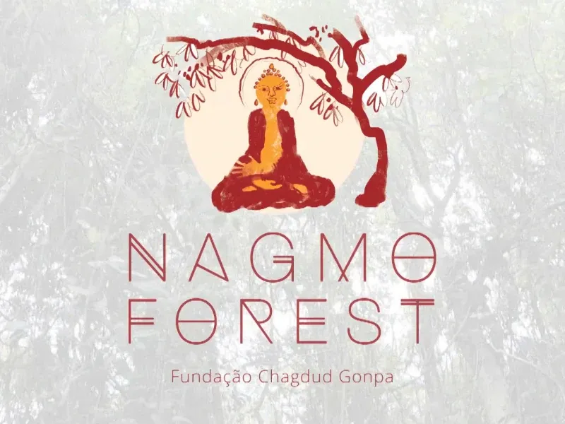 Nagmo Forest